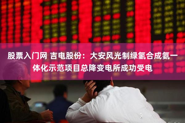 股票入门网 吉电股份：大安风光制绿氢合成氨一体化示范项目总降变电所成功受电