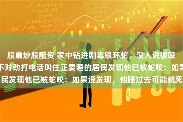 股票炒股配资 家中钻进剧毒银环蛇，没人说被咬，救助人员离开后发现不对劲打电话叫住正要睡的居民发现他已被蛇咬：如果没发现，他睡过去可能就死了