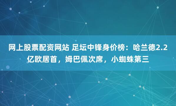 网上股票配资网站 足坛中锋身价榜：哈兰德2.2亿欧居首，姆巴佩次席，小蜘蛛第三